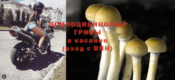 герыч Лиски