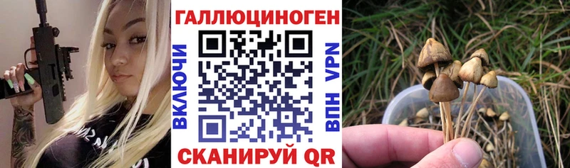 Галлюциногенные грибы мицелий  Купить  Спас-Деменск 